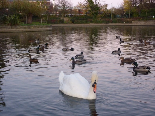 Feltham station new doubleroom use of  gym Main Photo