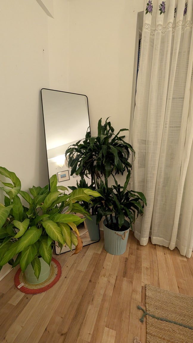 The perfect cozy room - 10 min walk to city Center Main Photo