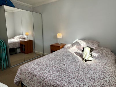 Bright double room in friendly well-kept flat SW16 Main Photo