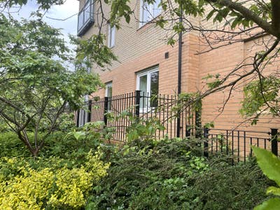 2-Bedroom Apartment in CB1: Available July-October Main Photo