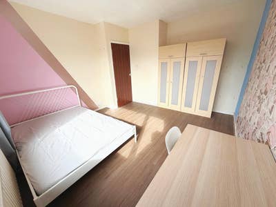 Large Room Near the Uni and City Centre Main Photo