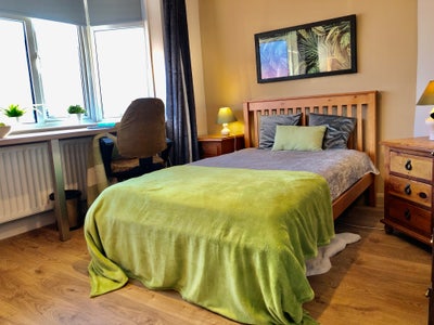 Professionals houseshare, double room, bills incl Main Photo