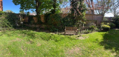 Garden flat between the Commons Main Photo