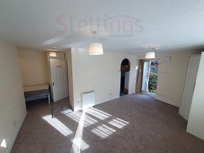 Large,modern studio flat with separate kitchen. Main Photo