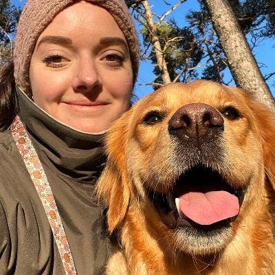 Looking for a room/flat for me and my dog, Peanut! Main Photo