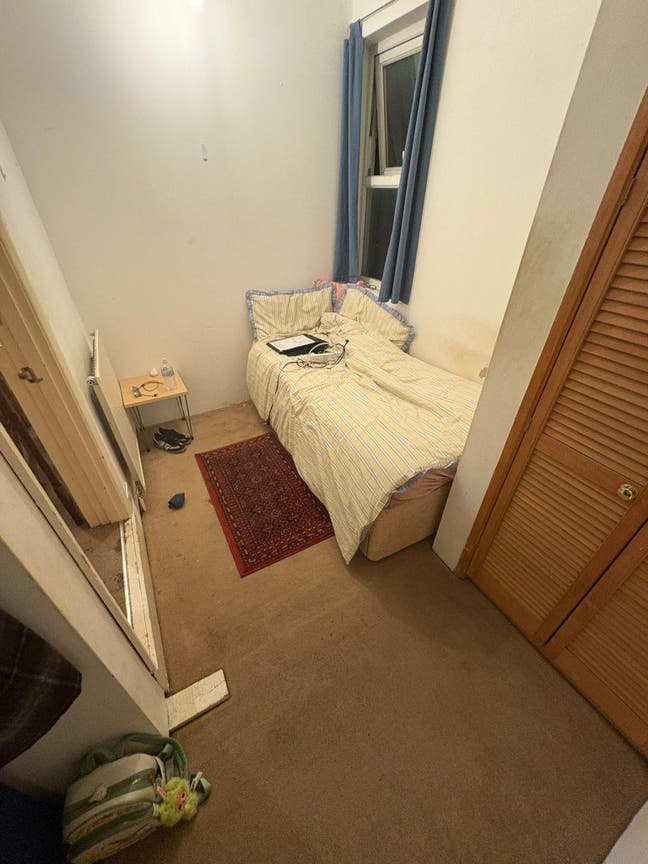 Home in Kingston - 1 single room avaliable Main Photo