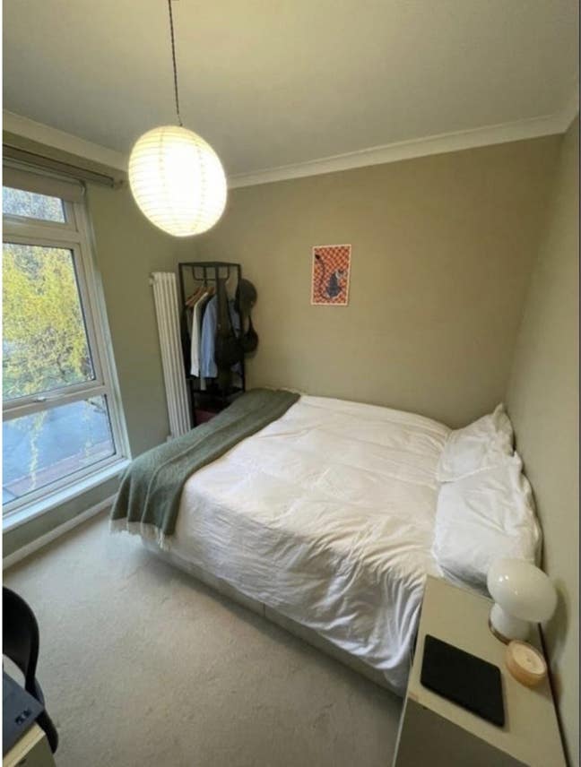 Bright and cosy room in West Dulwich 🌱  Main Photo