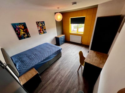 Awesome room for a couple or a single person Main Photo