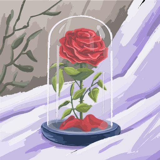 Professional Female seeks a single or double room Main Photo