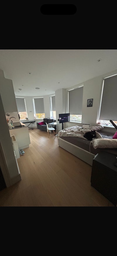 Lovely Studio Available in Kingston  Main Photo