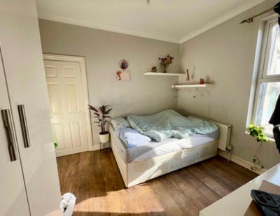 Cozy room in Leyton friendly environment  Main Photo