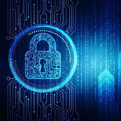 Professional Female seeks a single or double room Main Photo