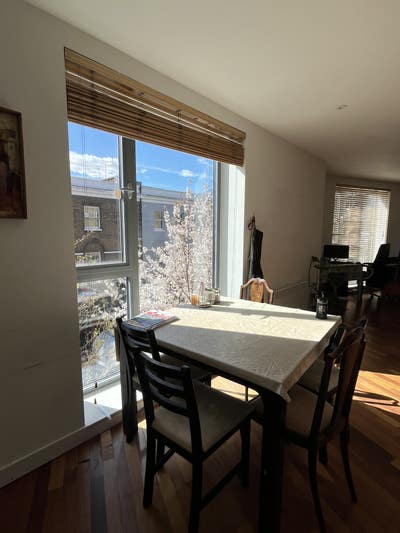 Room to rent in lovely light flat on Essex Road Main Photo