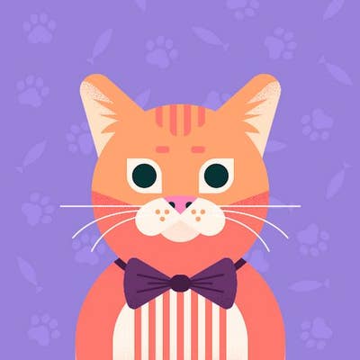 48 year old Male seeks a single or double room Main Photo