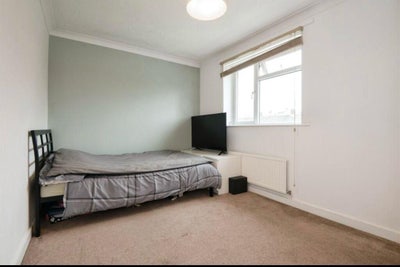 Double&single room available  Main Photo