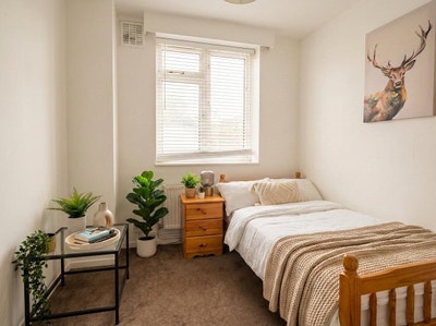 2 rooms in the same flat, St John's Wood  Main Photo