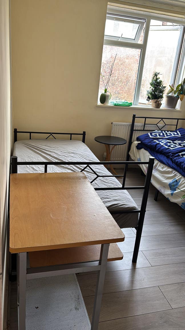 Room share for a boy  Main Photo