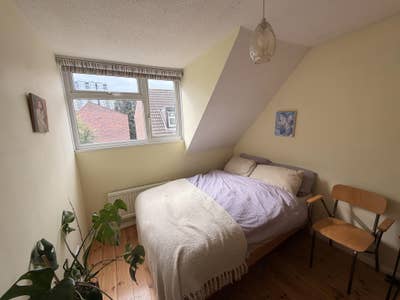 May Sublet – Large Sunny Room in Homerton Main Photo