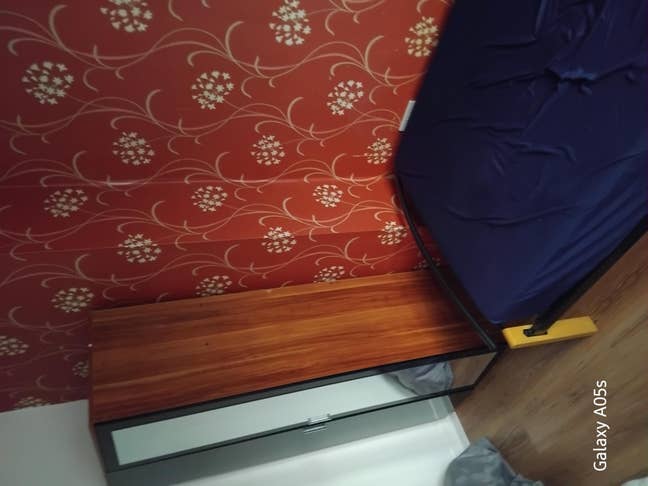 Single Room  Main Photo