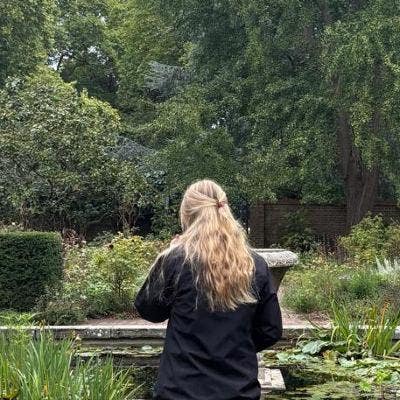 Friendly flatmate looking for a room! Main Photo