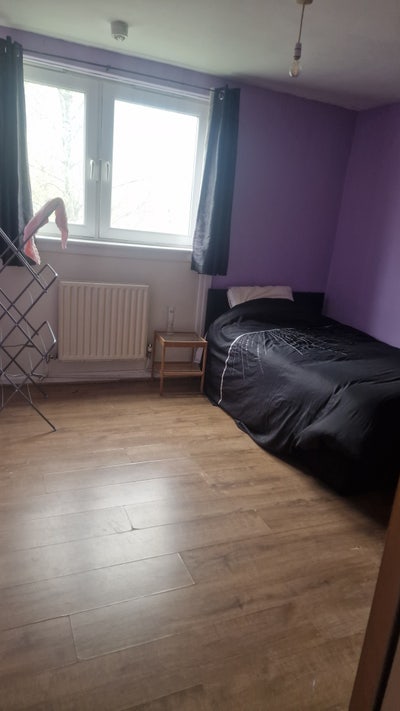 Spacious double Room – Friendly Female Flatshare  Main Photo