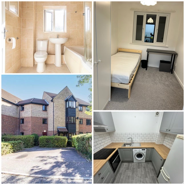 Single bedroom to be newly furnished  Main Photo