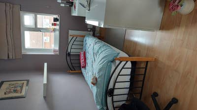 Single Furnished Wifi Laundry Use Kitchen Free Main Photo
