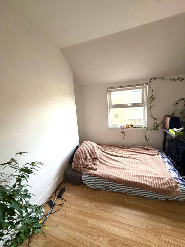 Room in a 3-bed flat Main Photo