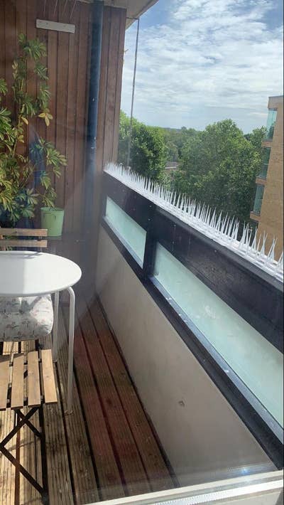 Spacious Airy Double Room  Main Photo