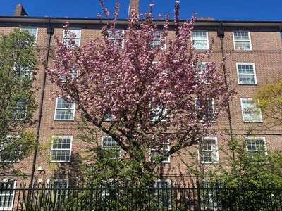 Room available in SE1 Main Photo