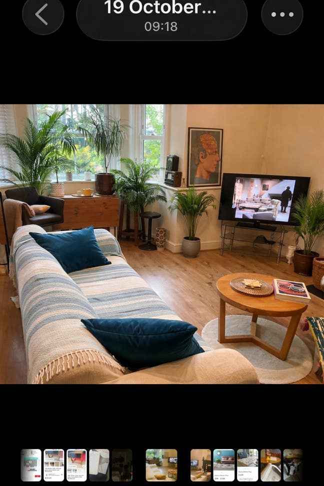 Central Blackheath Garden flat Share with just me. Main Photo