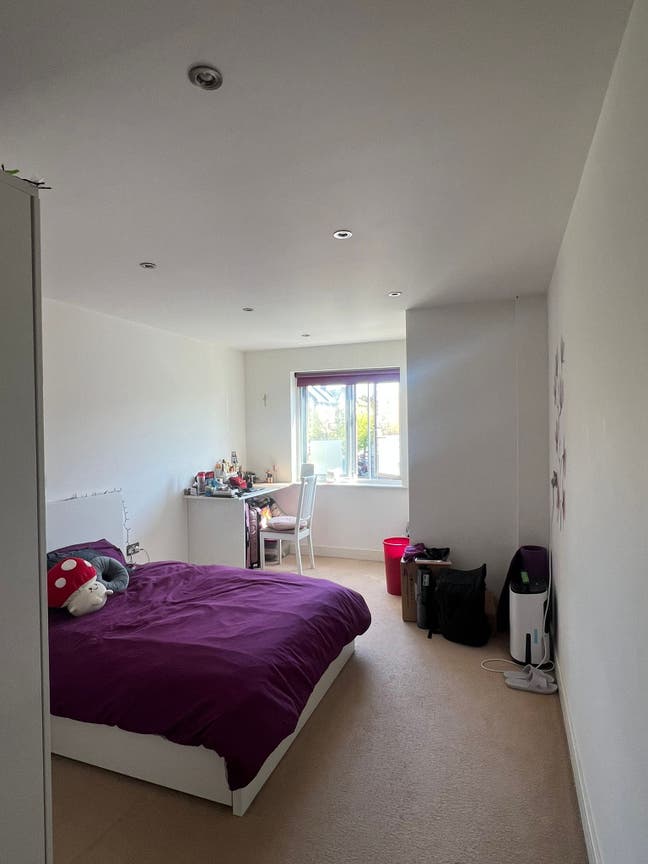 Large en-suite double bedroom 30mins from centre Main Photo