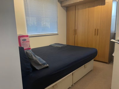 Looking for a Clean & Respectful Flatmate. Main Photo