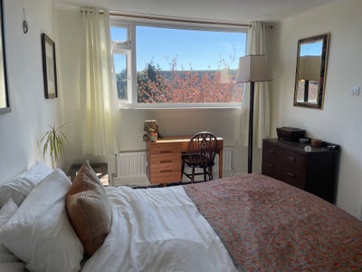 Double room in plant-based family home Main Photo