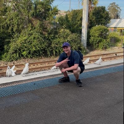 Looking for a room or to buddy up in SW London Main Photo