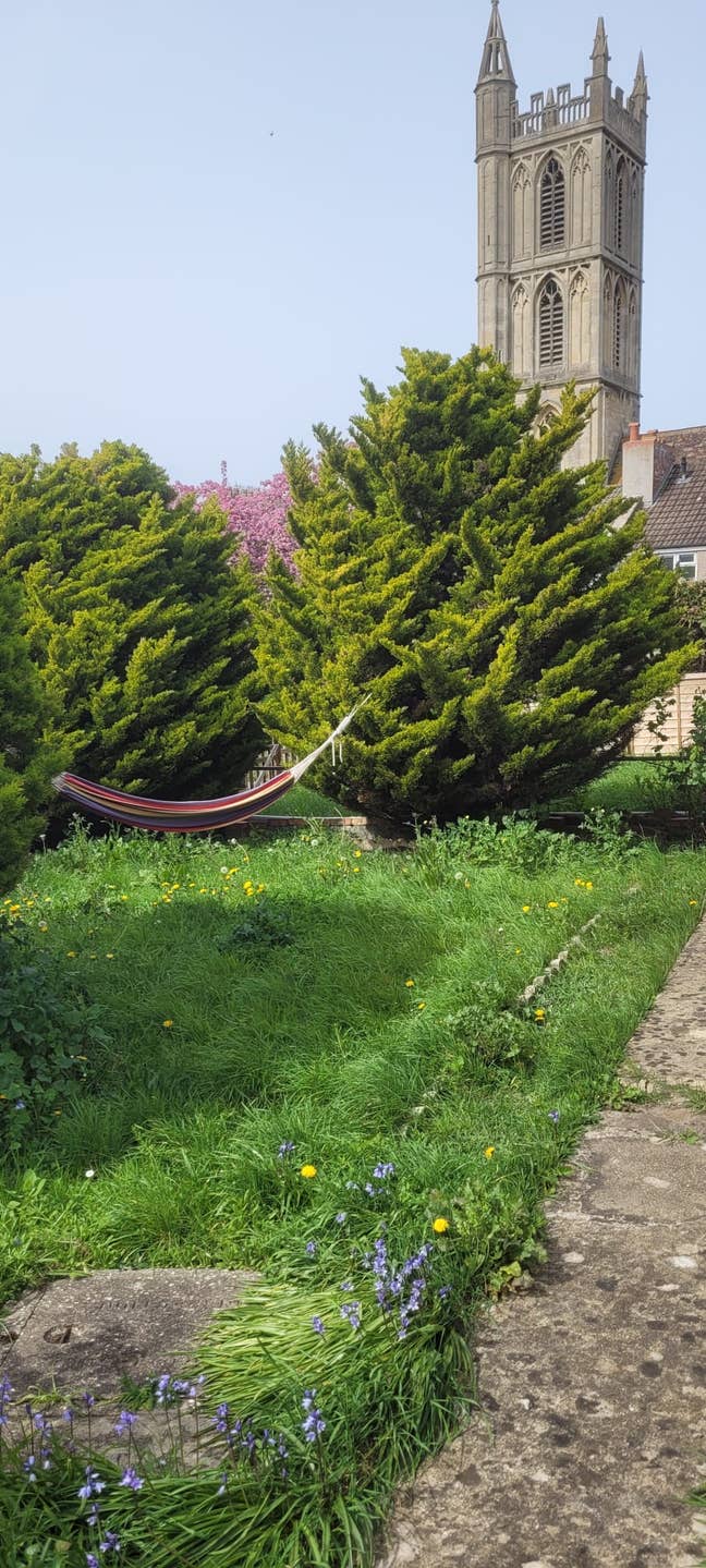 Single Room in St Werburghs Main Photo