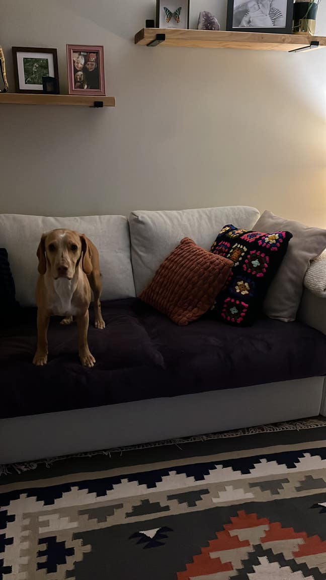 Double Bedroom with own bathroom Main Photo