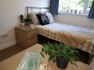 Live in Comfort. Affordable room handy for airport Main Photo