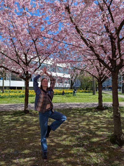 Visiting research student looking for flatshare Main Photo