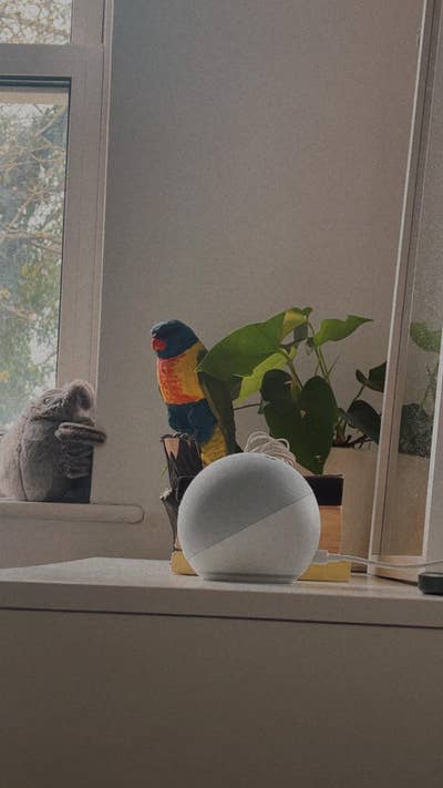 Furnished room to rent in Colchester – quiet and c Main Photo