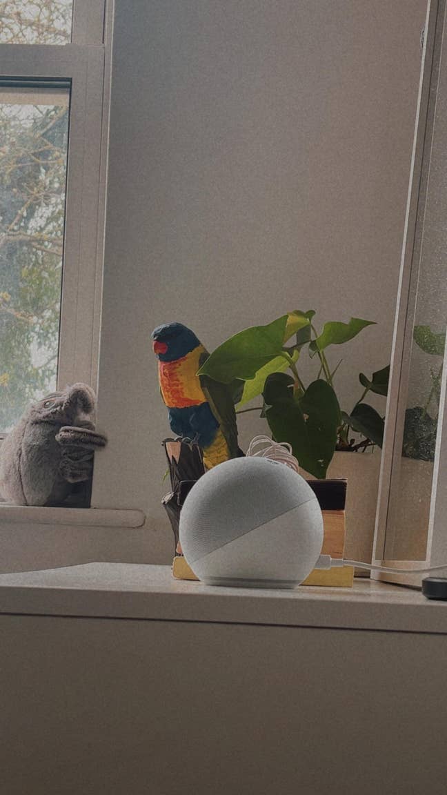 Furnished room to rent in Colchester – quiet and c Main Photo