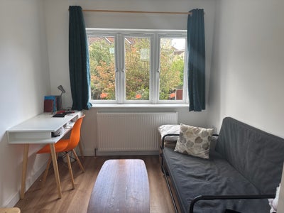 Bright Double Room in Cosy Home Main Photo