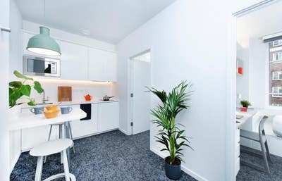 Scape Bloomsbury Student Accomidation Main Photo