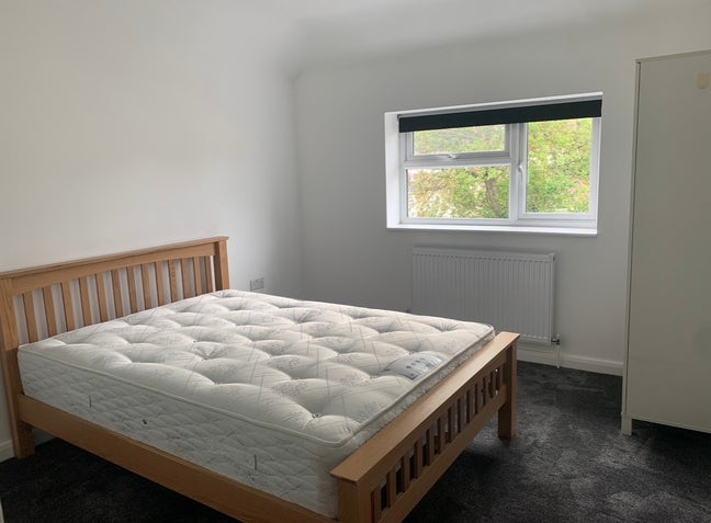 Modern Double Room in all female household! Main Photo