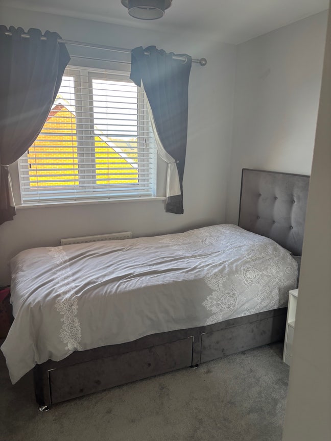 Single room for rent  Main Photo