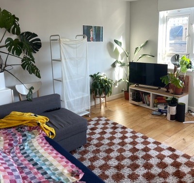 Room in bright Bethnal Green flat Main Photo