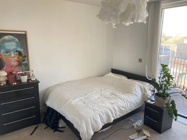 Seeking professional flatmate to join my lease :) Main Photo