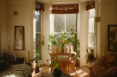 Gorgeous sunny large double room in Gipsy Hill Main Photo