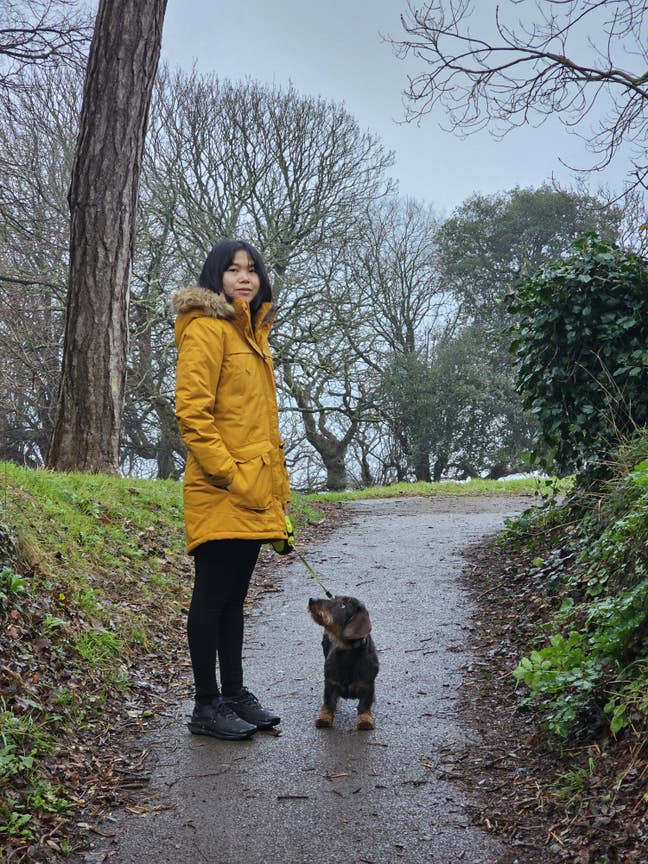 Professional Female /w a sausage dog want to rent Main Photo