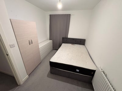 Single room available to rent  Main Photo